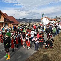 Pucher Faschingsumzug 2020