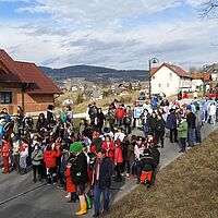 Pucher Faschingsumzug 2020